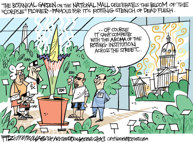 Daily Fitz Cartoon: Congress